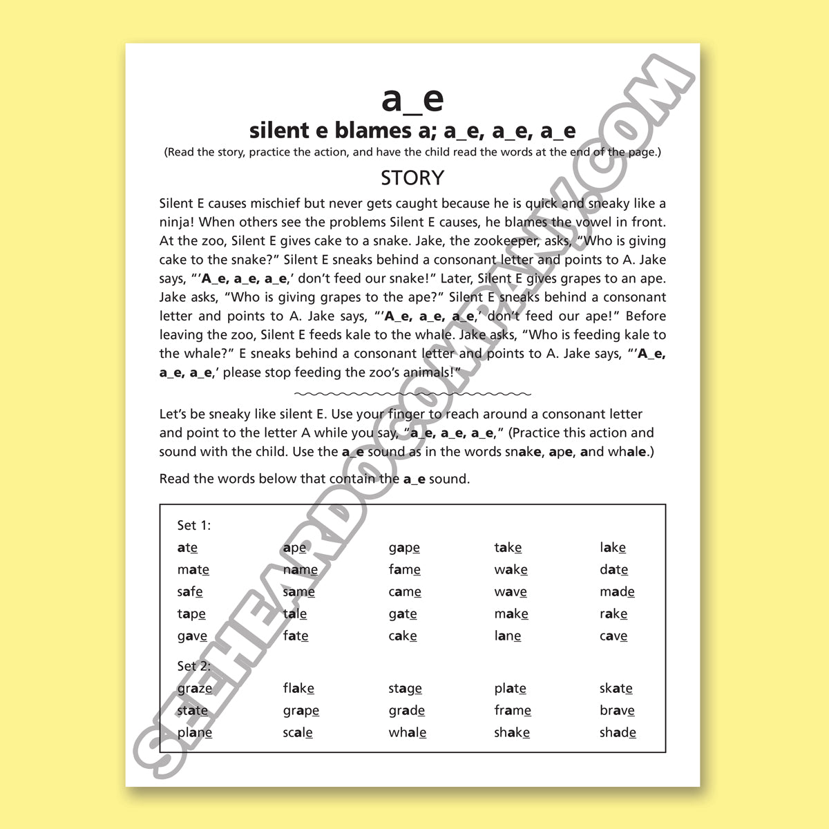Amazing Action Alphabet Vowel Kingdom Book
